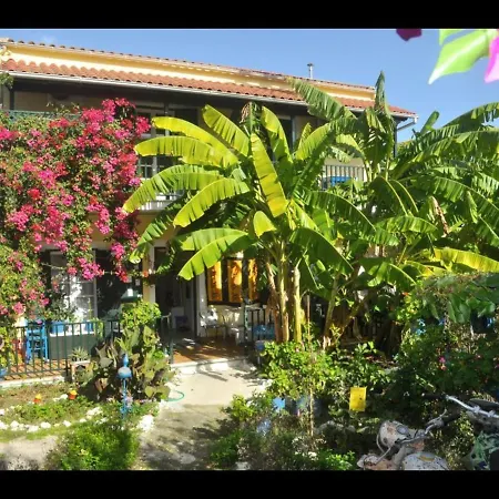 公寓 Pension Telis Und Brigitte *